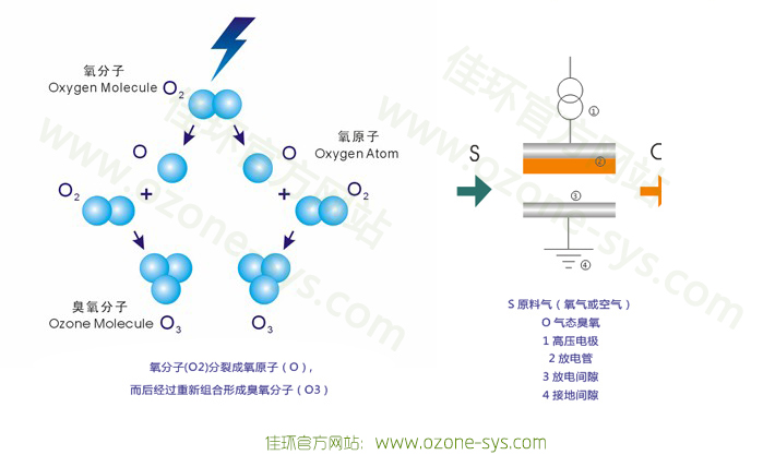 1406866041234781.jpg 1_120818124130_1.jpg