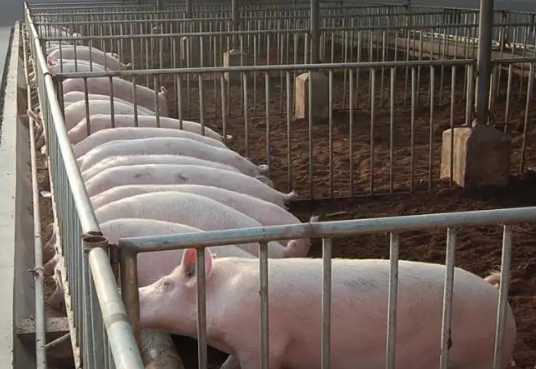 1662088237927413.png image.png